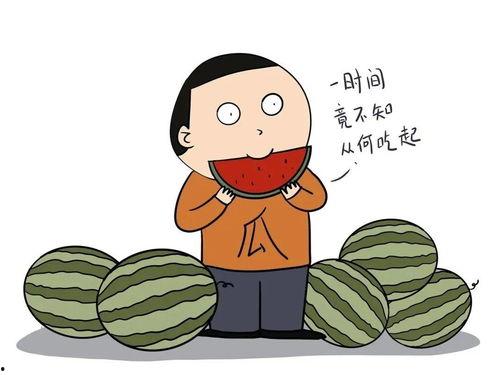 娱乐吃瓜素材怎么找,吃瓜群众必看的幕后故事